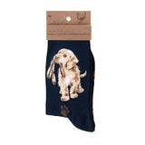 "Hopeful" Navy Dog Socks