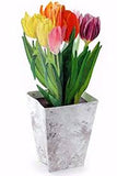 3D Card with Tulips