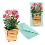 3D Rose Card
