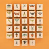 Uncle Goose Bug Blocks
