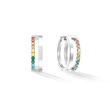 Silver Multicolour Earrings