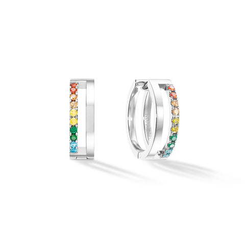 Silver Multicolour Earrings
