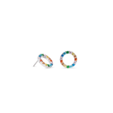Silver Stainless Multicolour Earrings