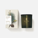 Lucia - Les Saisons - Douglas Pine Soy Votive Candle - 55 hr