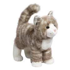 Plush Grey Tabby Cat