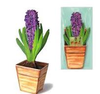 3D Hyacinth Card