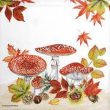 Fly Agaric Mushroom Cocktail Napkins