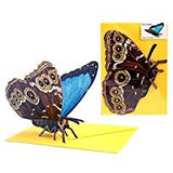 3D Animal Card - Butterfly