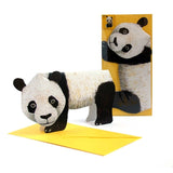 3D Animal Card - Panda
