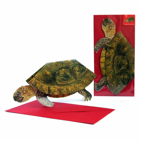 3D Animal Card - Turtle