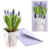 3D Hyacinth Card