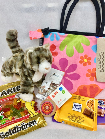 Kids' Care Package with Kitten