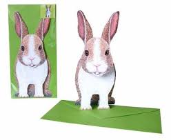 3D Animal Card - Rabbit